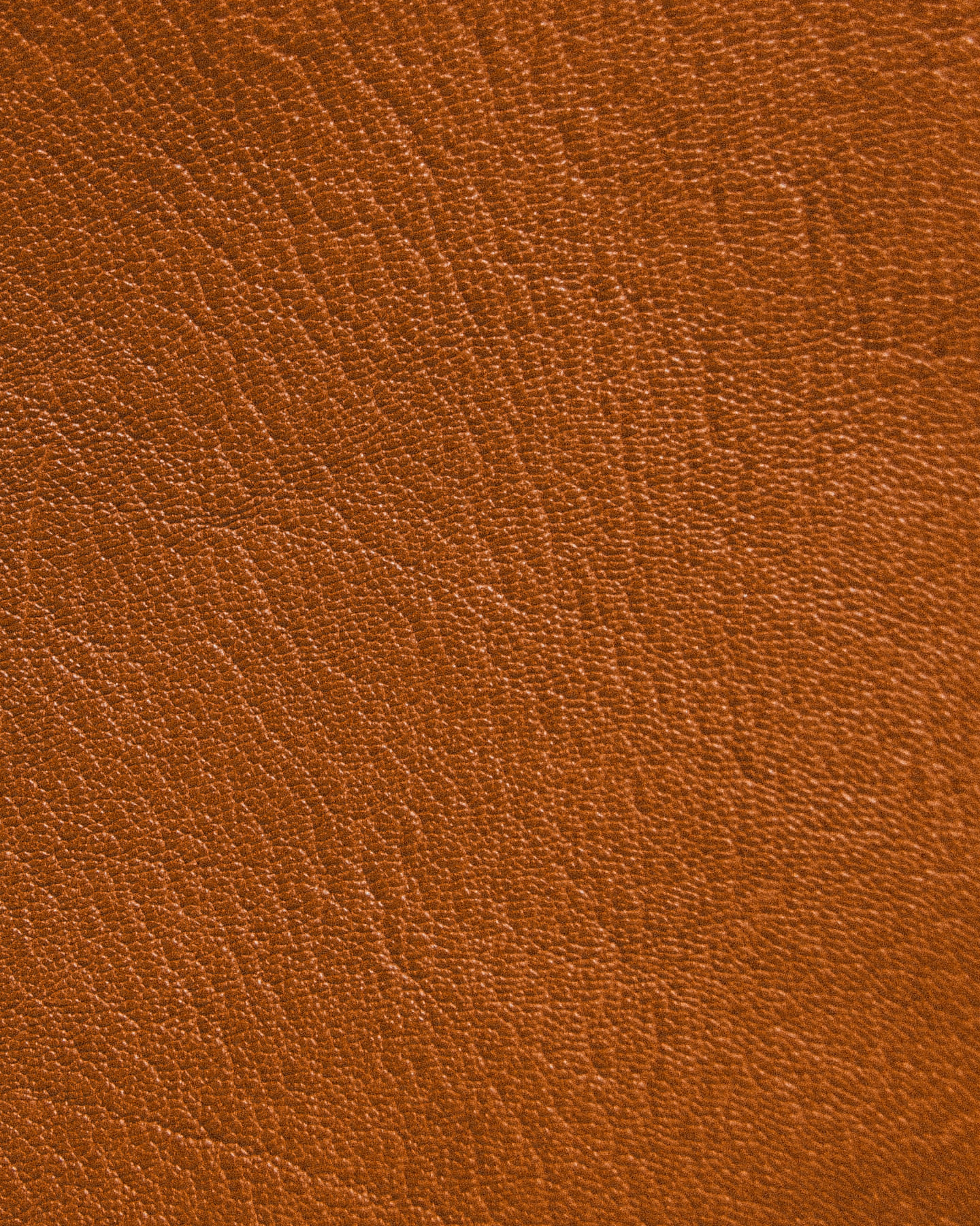 opalton cuir baranil texture